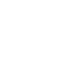 Moon International